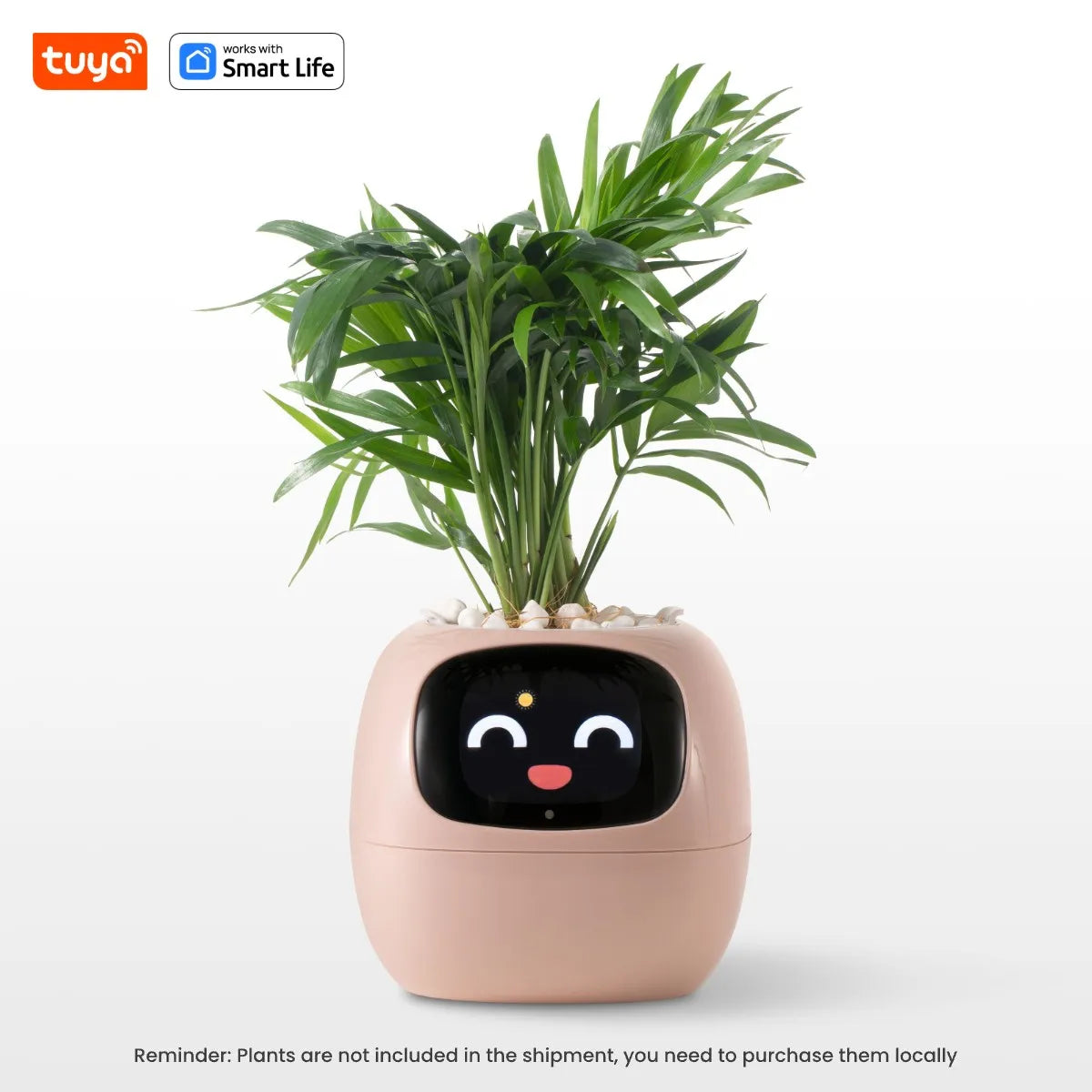 Tuya Ivy™ Smart Planter – AI-Powered Care with 49+ Expressions & 7 Smart Sensors - HomeDashy