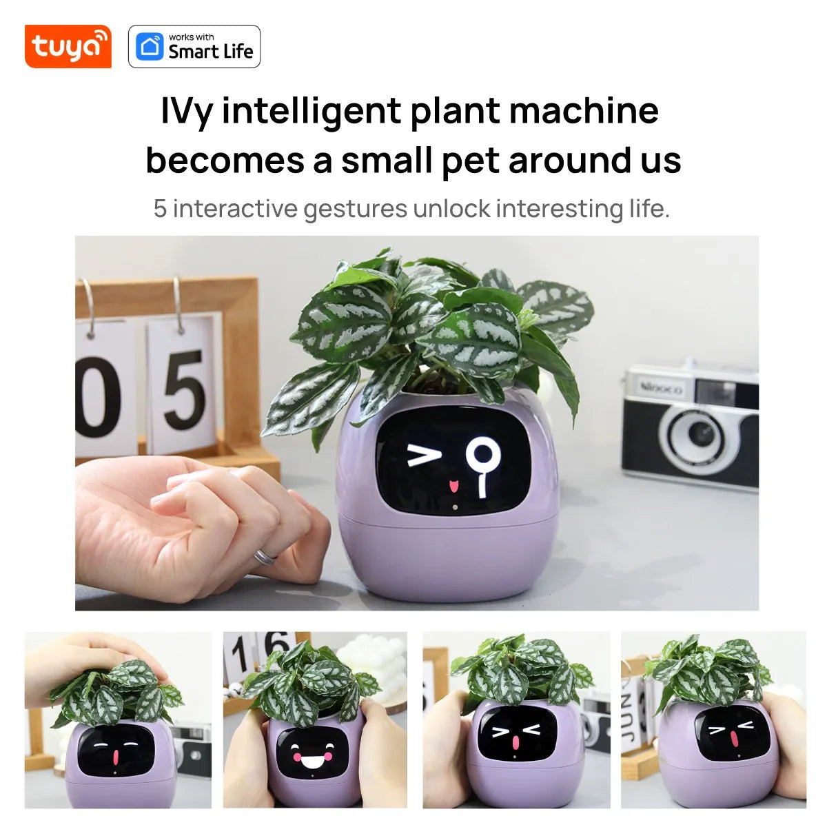 Tuya Ivy™ Smart Planter – AI-Powered Care with 49+ Expressions & 7 Smart Sensors - HomeDashy