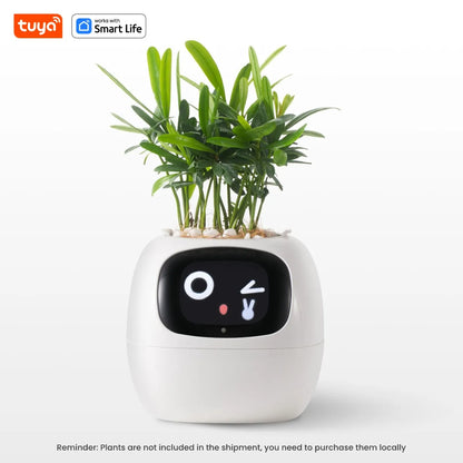 Tuya Ivy™ Smart Planter – AI-Powered Care with 49+ Expressions & 7 Smart Sensors - HomeDashy