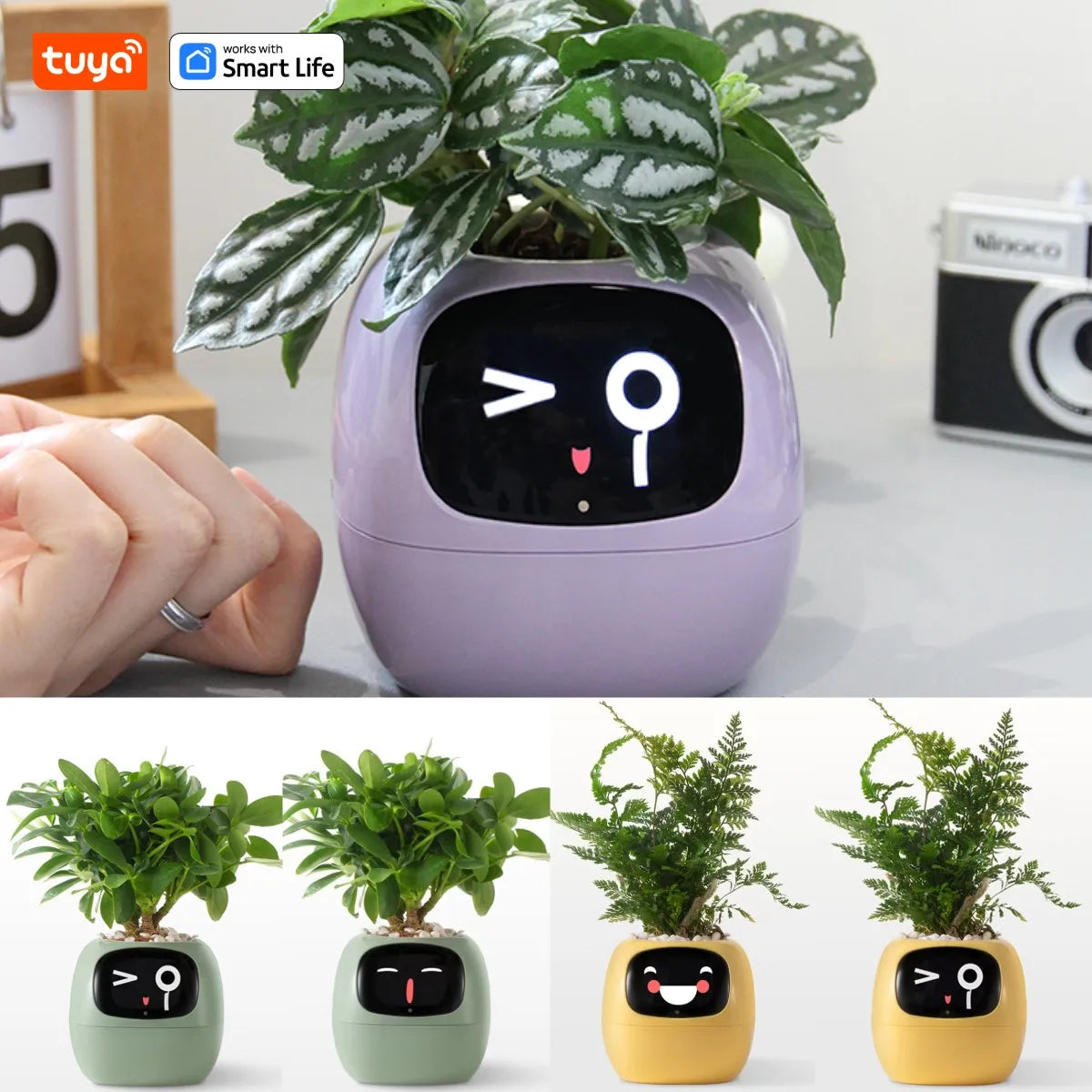 Tuya Ivy™ Smart Planter – AI-Powered Care with 49+ Expressions & 7 Smart Sensors - HomeDashy