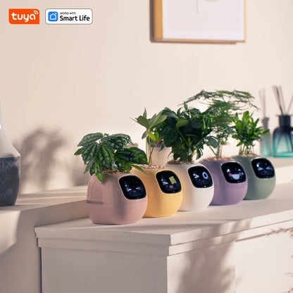 Tuya Ivy™ Smart Planter – AI-Powered Care with 49+ Expressions & 7 Smart Sensors - HomeDashy