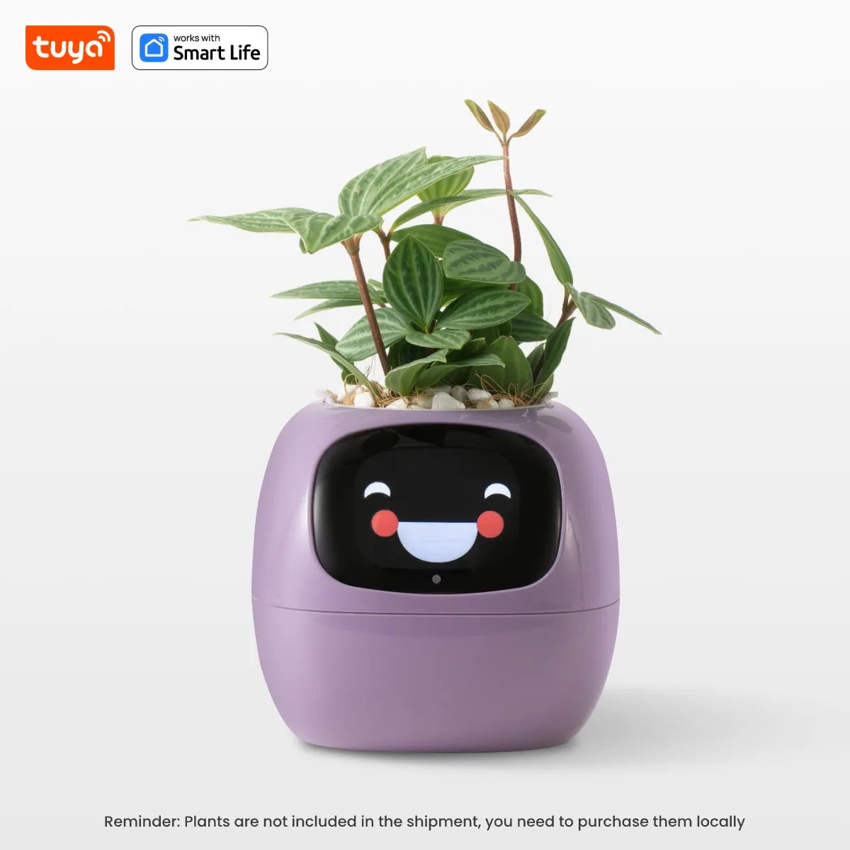 Tuya Ivy™ Smart Planter – AI-Powered Care with 49+ Expressions & 7 Smart Sensors - HomeDashy