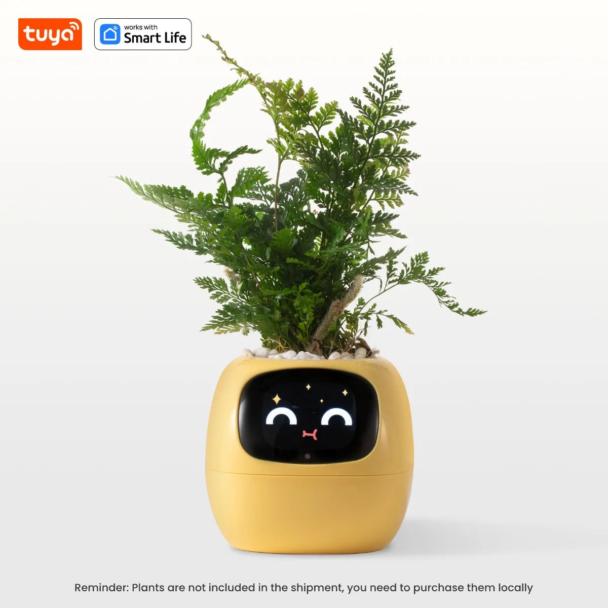 Tuya Ivy™ Smart Planter – AI-Powered Care with 49+ Expressions & 7 Smart Sensors - HomeDashy