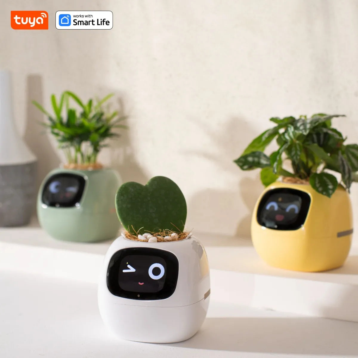 Tuya Ivy™ Smart Planter – AI-Powered Care with 49+ Expressions & 7 Smart Sensors - HomeDashy