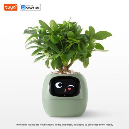 Tuya Ivy™ Smart Planter – AI-Powered Care with 49+ Expressions & 7 Smart Sensors - HomeDashy